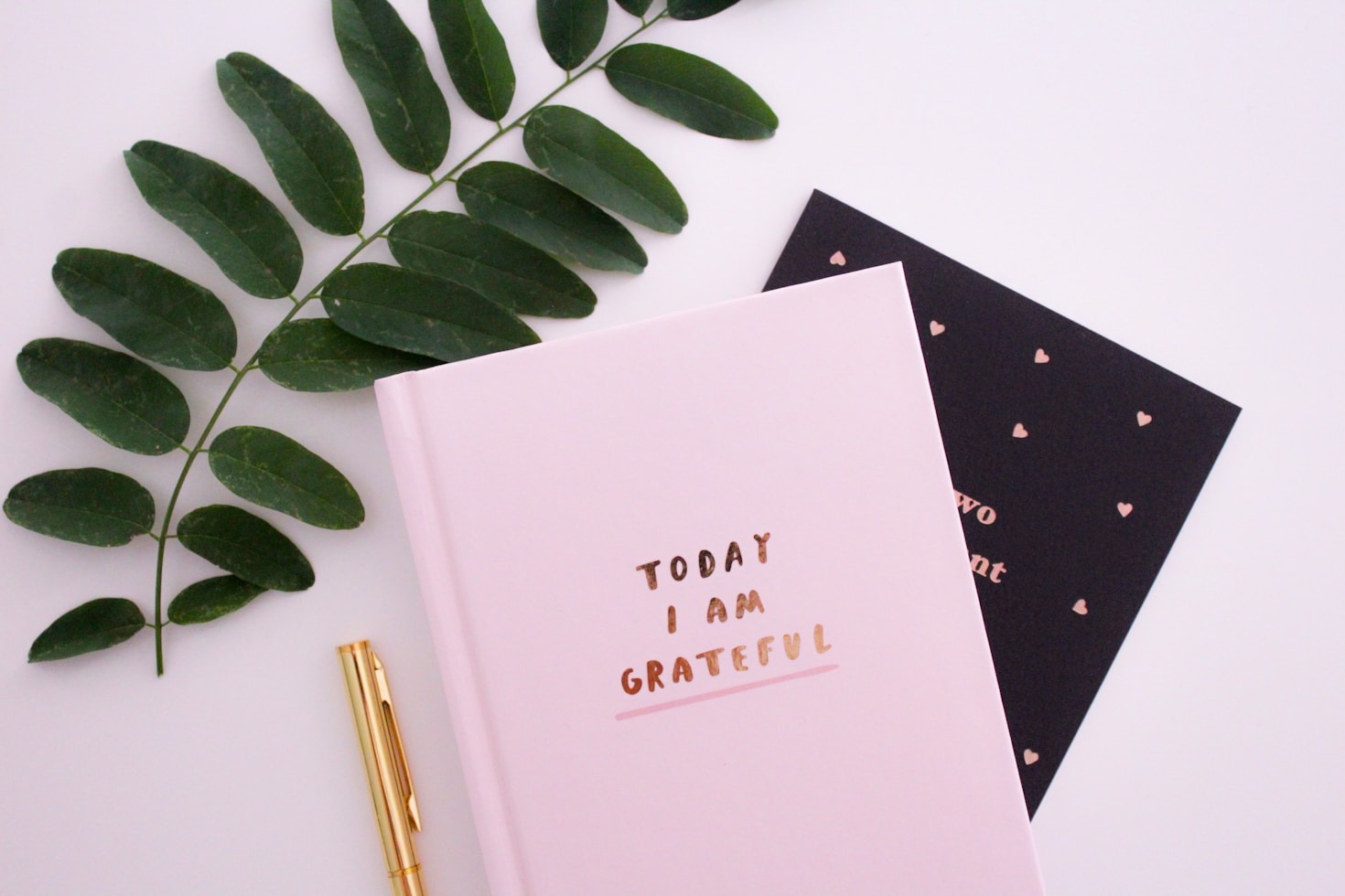 Exploring the Art of Personal Storytelling